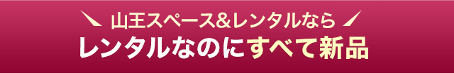 レンタルなのにすべて新品